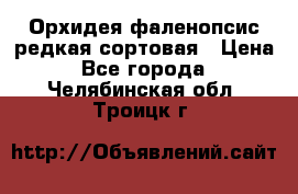Орхидея фаленопсис редкая сортовая › Цена ­ 800 - Все города  »    . Челябинская обл.,Троицк г.